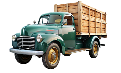 Доставка по Новосибирску и области, республике Алтай, а также по всей России